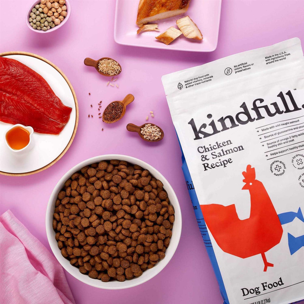 Chicken and Salmon Recipe Dry Dog Food W6364