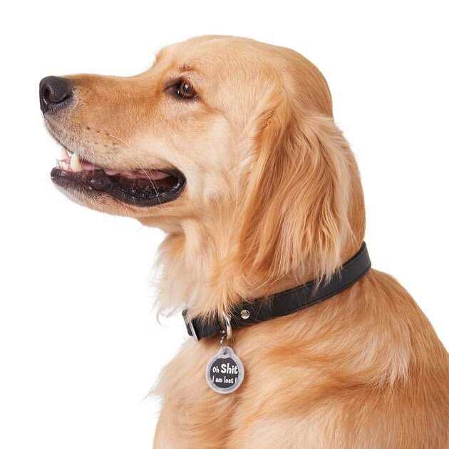 Anodized Aluminum Dog & Cat ID Tag N252784
