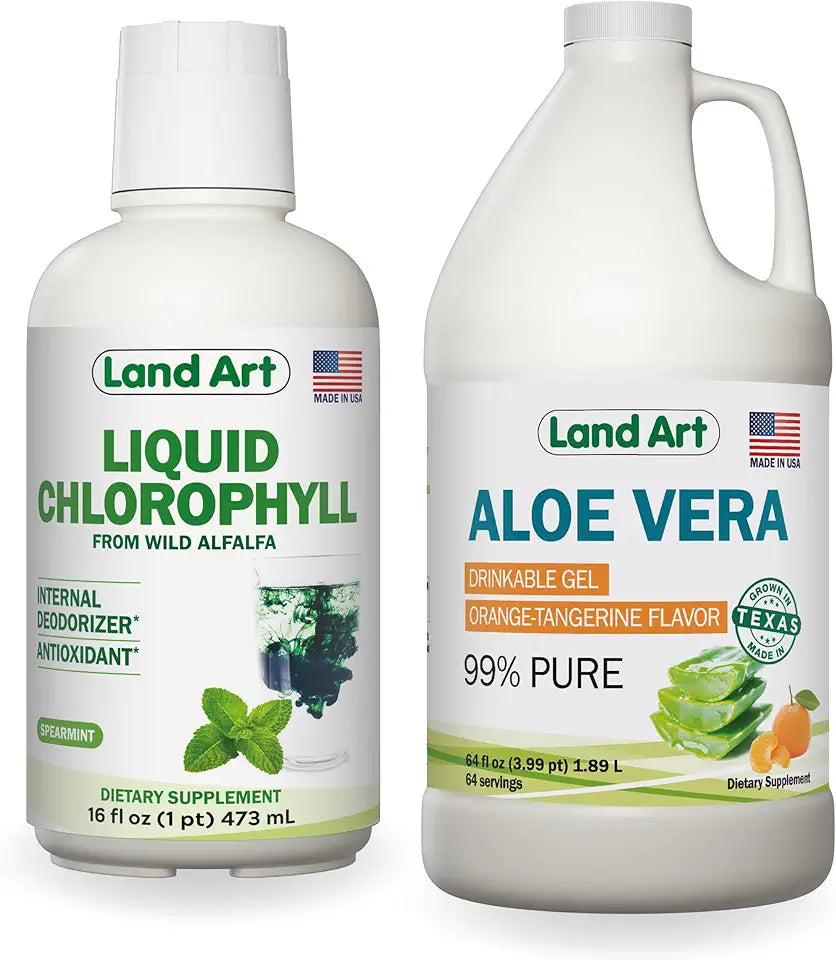 Aloe Vera Drinkable Gel Orange Tangerine Flavored 64floz and Liquid Chlorophyll Mint Flavored 16floz E1454
