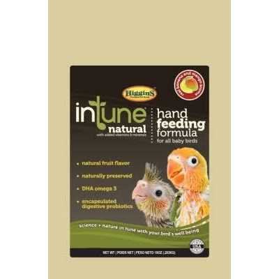 Hand Feeding Food for Baby Birds R2797