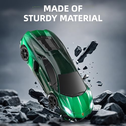 1:24 Scale Remote Control Car E35679