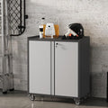 Locking Metal Cabinet with Door, Rolling Storage Cabinet with Shelves K113867