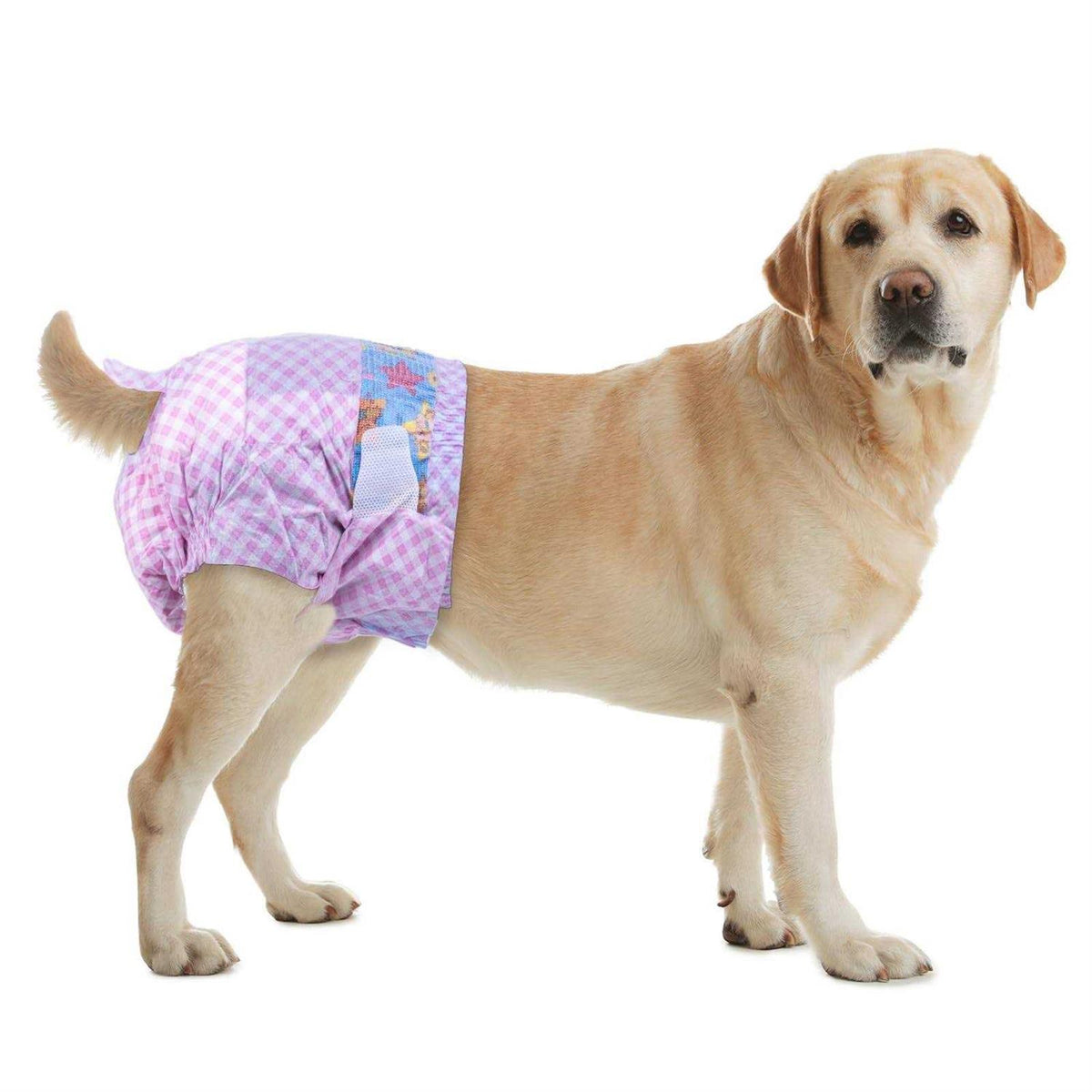 Disposable Female Dog Diapers with Adjustable Elastic Waistline Z67417