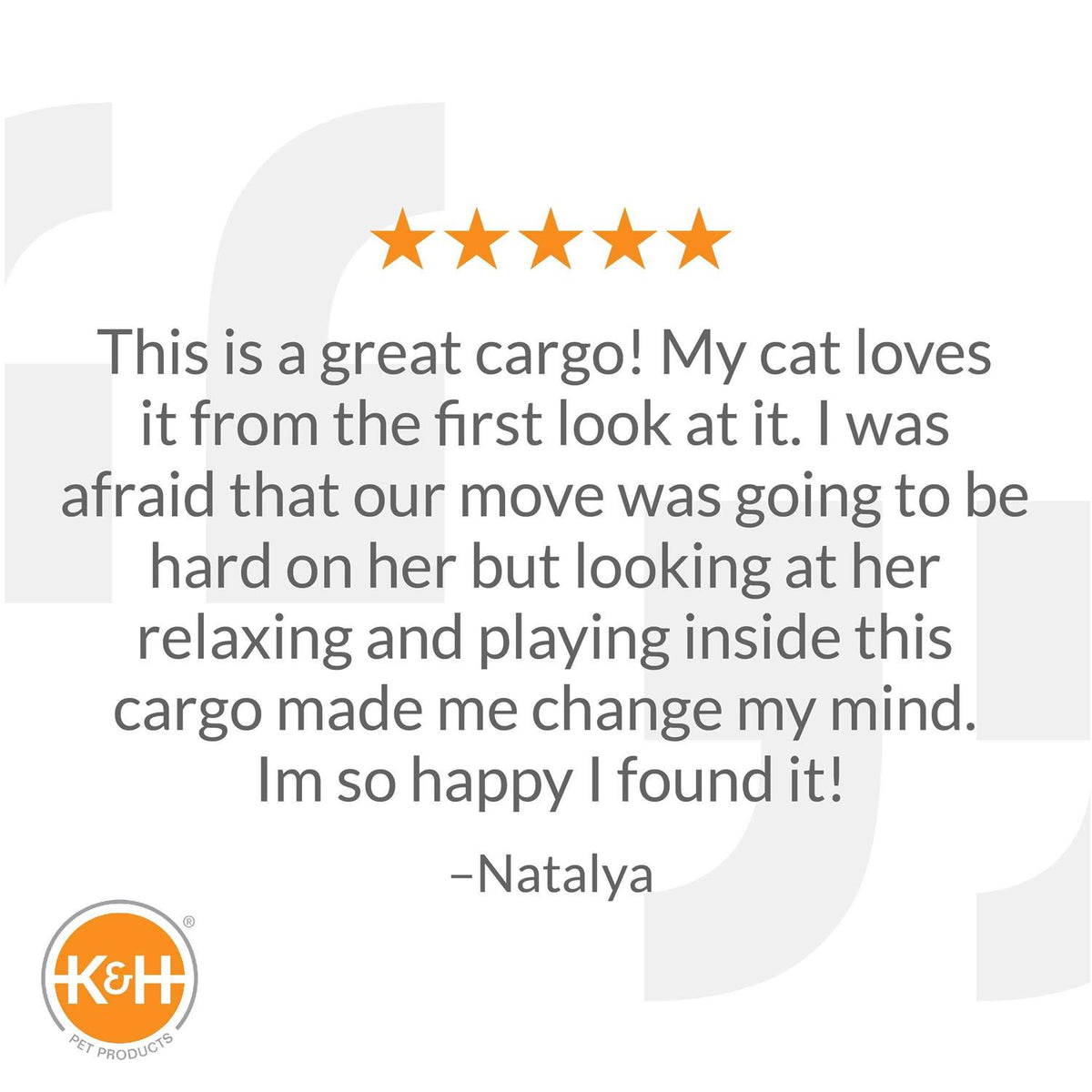 Pet Travel Safety Carrier D709