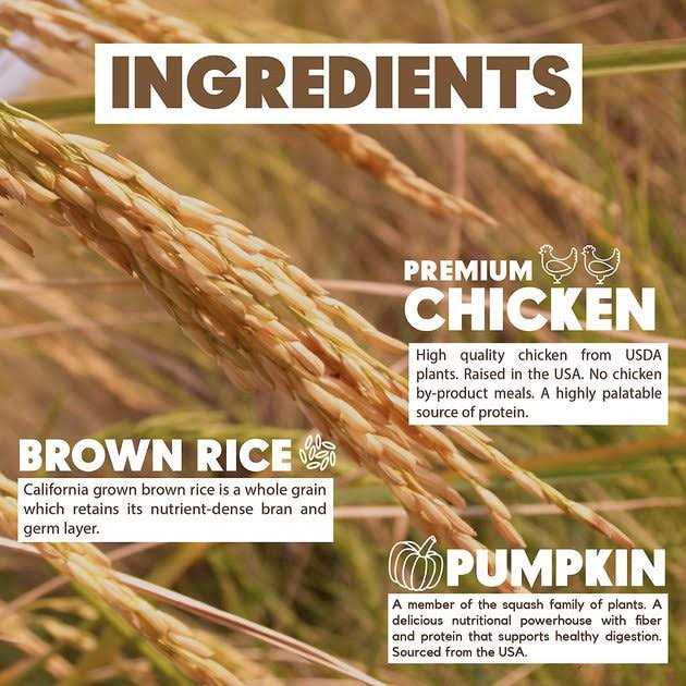 Chicken Brown Rice & Pumpkin Dry Dog Food Y6454