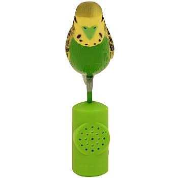 Singing Parakeet L237724