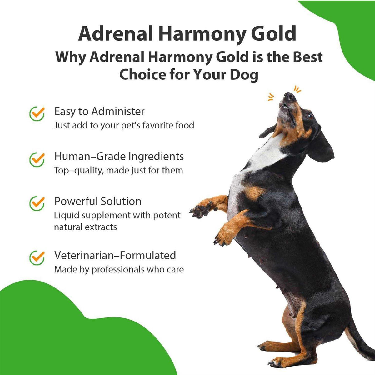 Adrenal Harmony Gold Dog Supplement A796