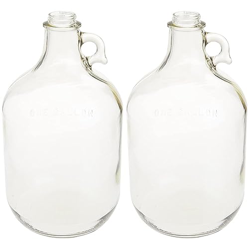 1 Gallon Clear Glass Fermenter Jug Q9133