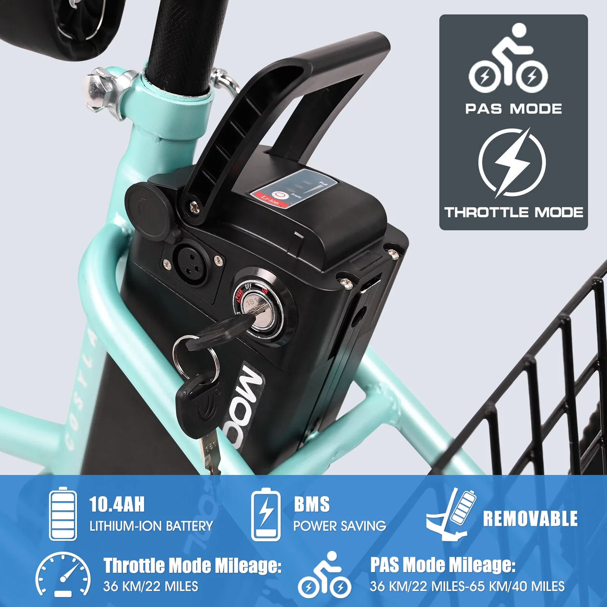 3 Wheel Electric Tricycle with Removable Lithium Battery J1847