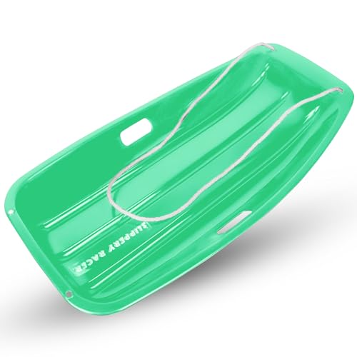 2 Person Snow Sled F941721