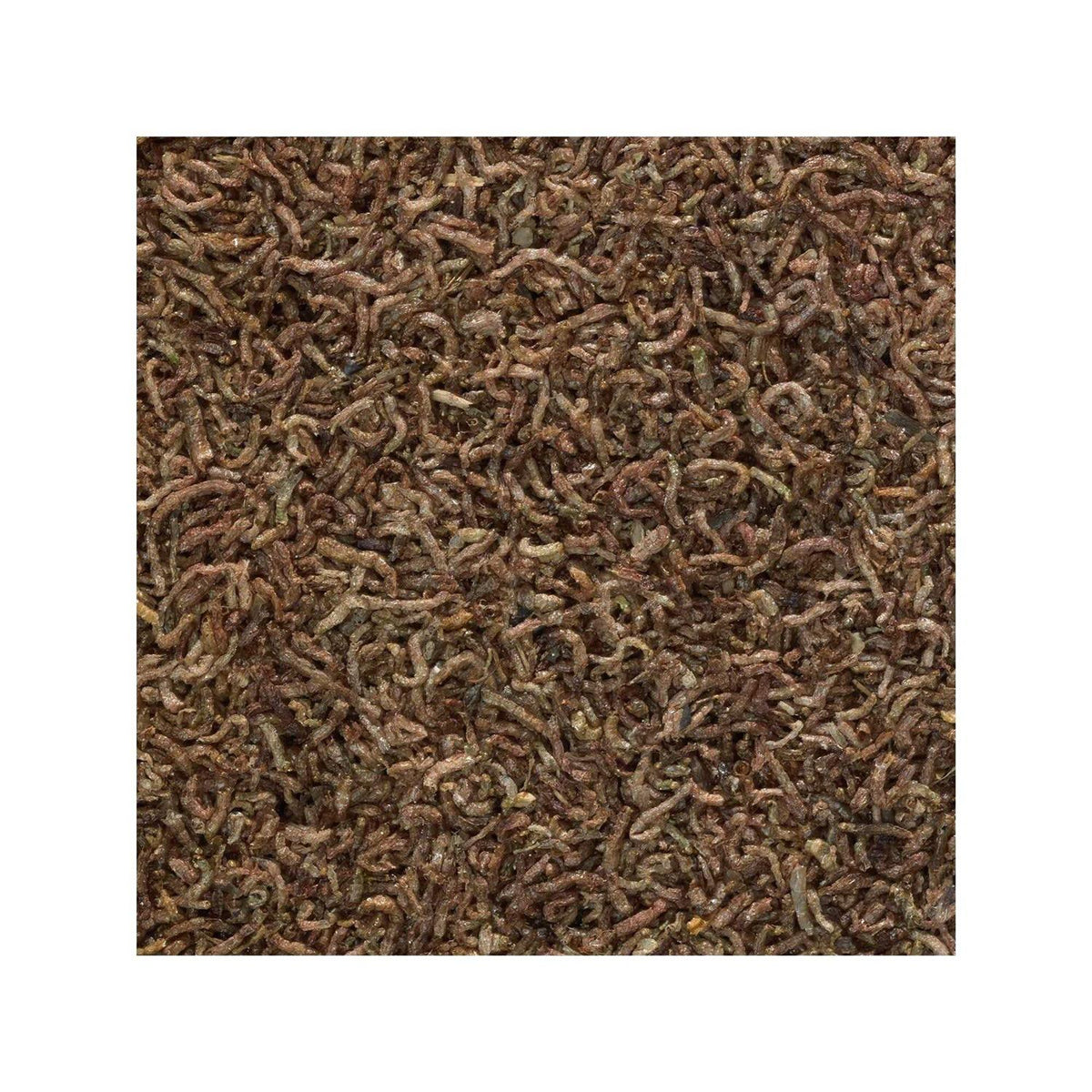 Freeze Dried Fish Food N21081