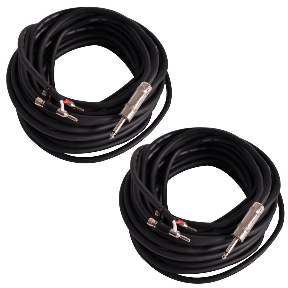 100 Foot Banana to 1/4 inch Speaker Cables T6139