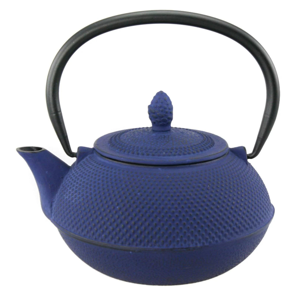 30 Oz Blue Cast Iron Tea Pot G5553