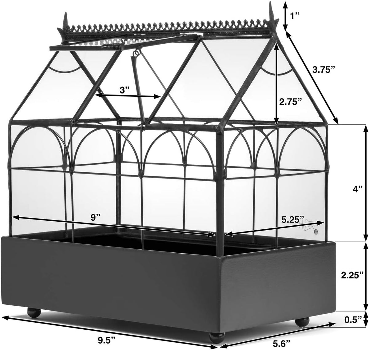 Glass Terrarium Planter Q567