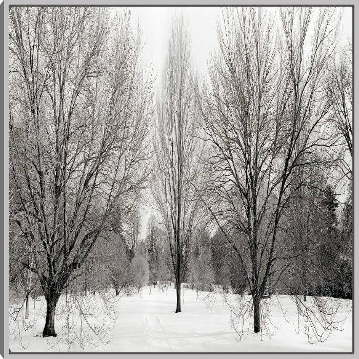 Canvas Art S2612
