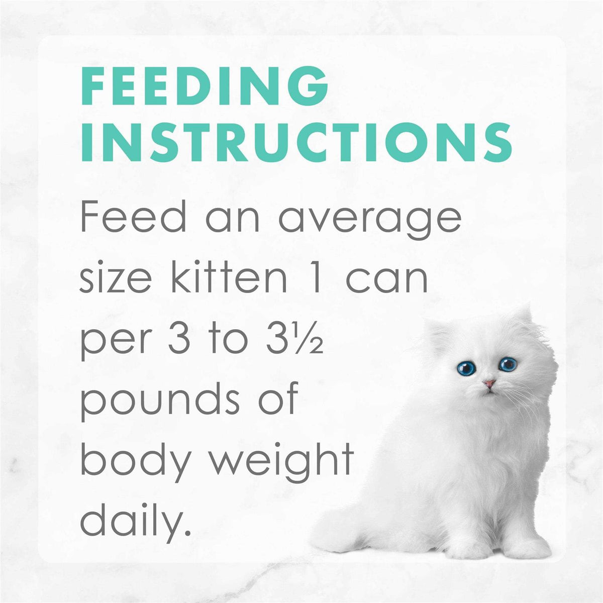 Grain Free Pate Wet Kitten Food Variety Pack F4331