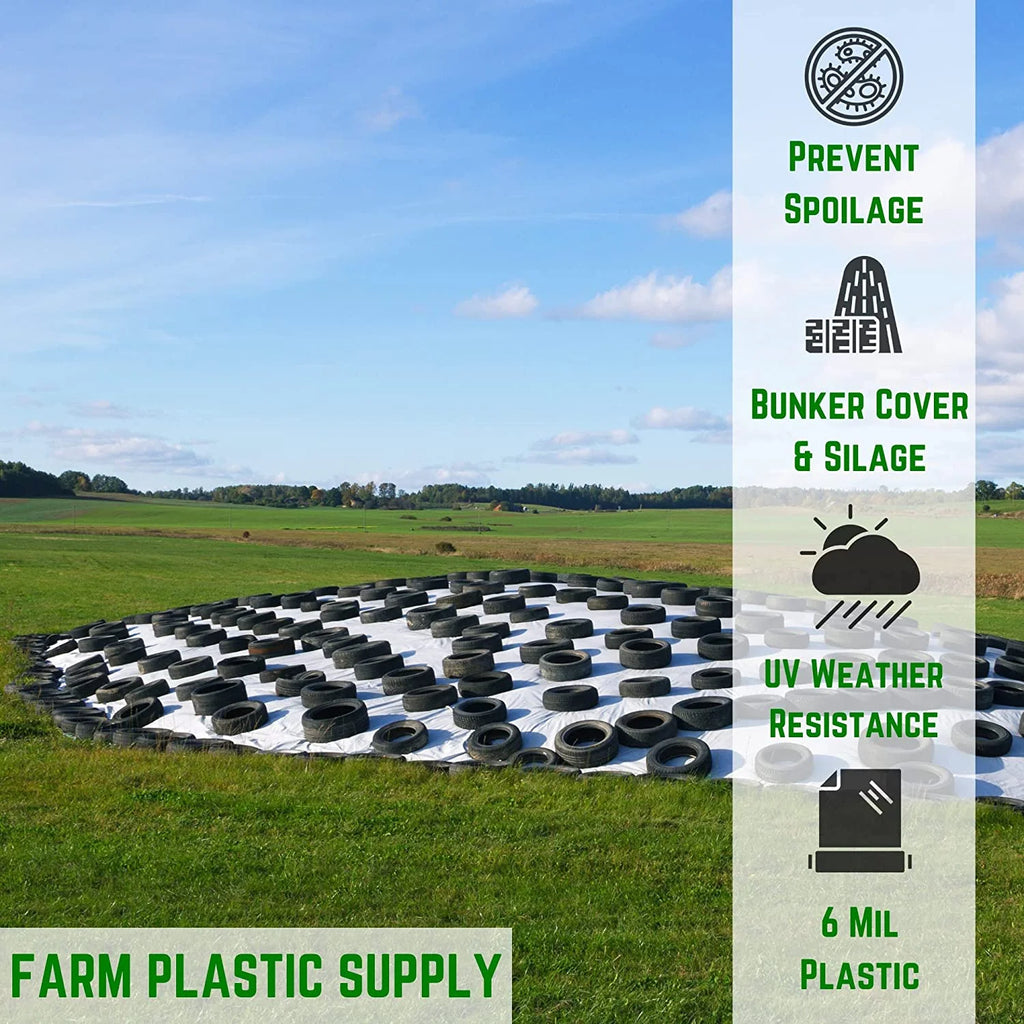 Black/White 6 Mil Polyethylene Plastic Tarp L97078