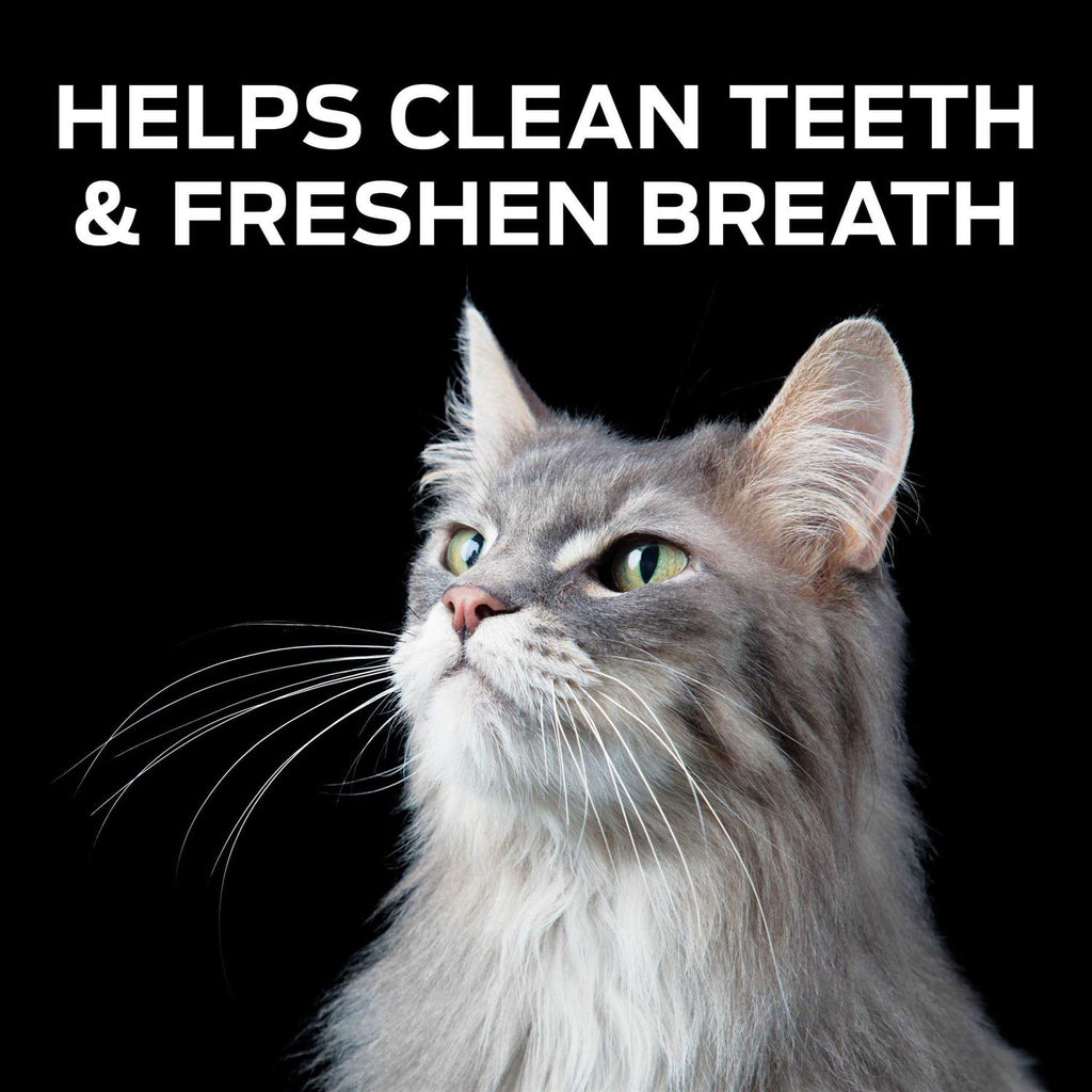 Crunchy Bites Cat Treats D52203