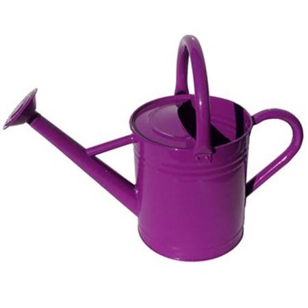 3.5 Liter Dark Purple Embossed Water Can Z18961