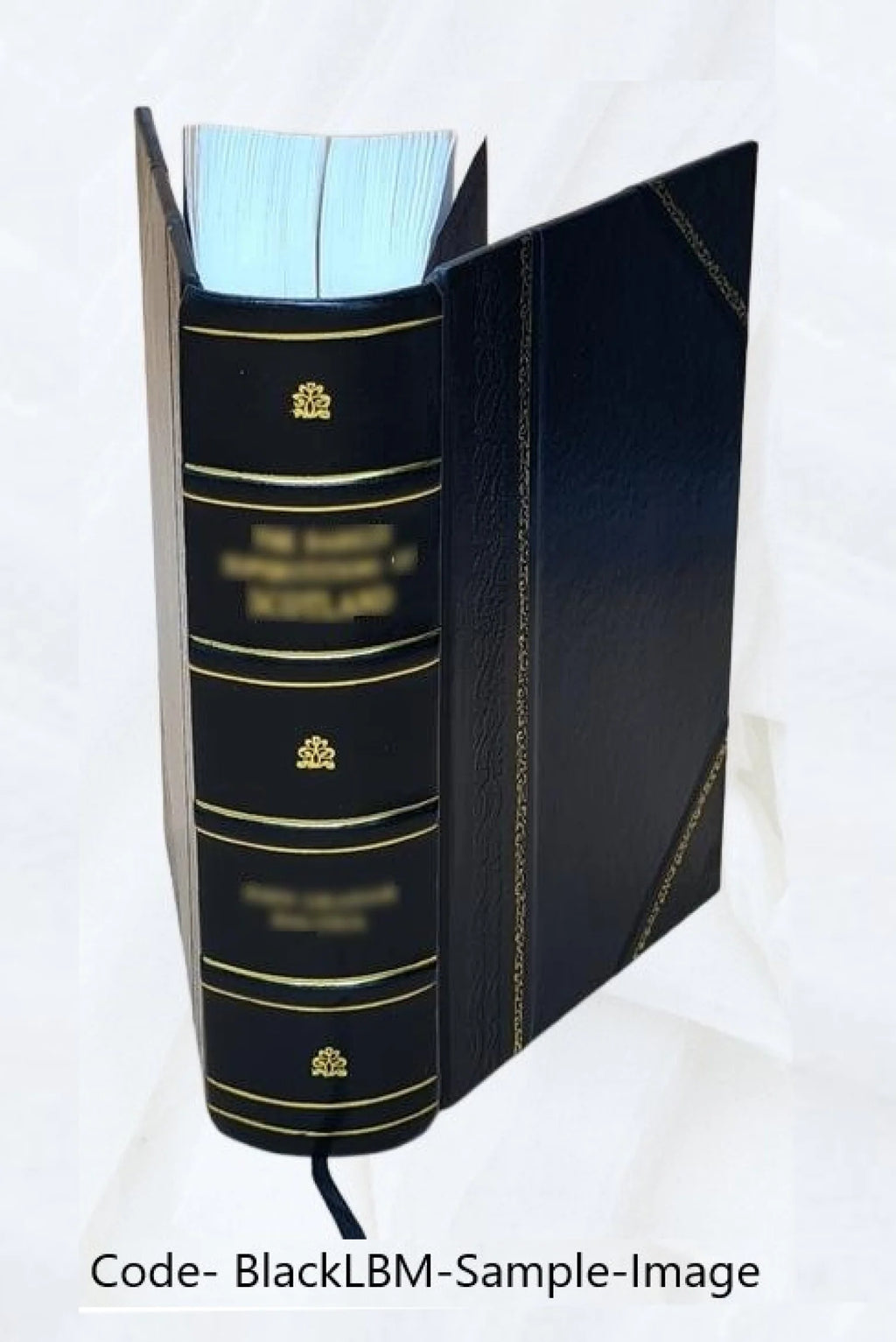 Leather Bound Book H121011
