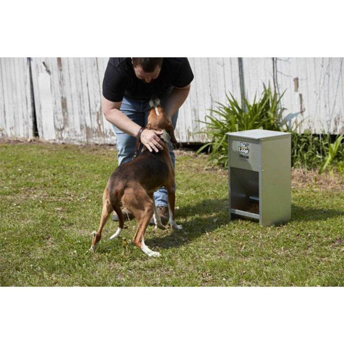 Dog Feeder X3627