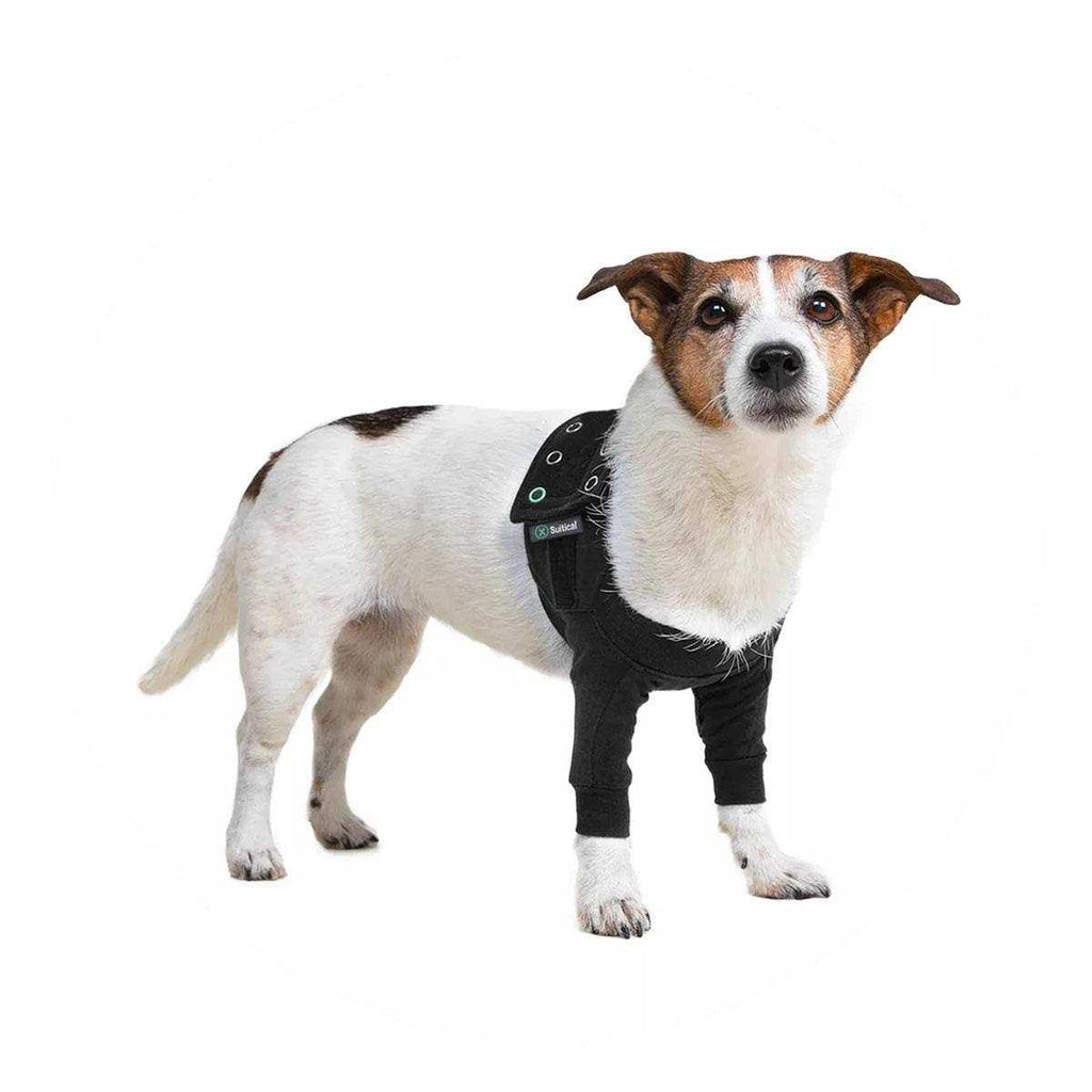 Dog Recovery Double Sleeves E178400