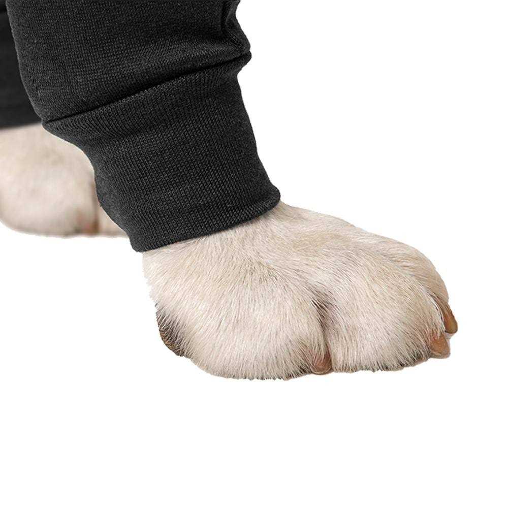Dog Recovery Double Sleeves E178400