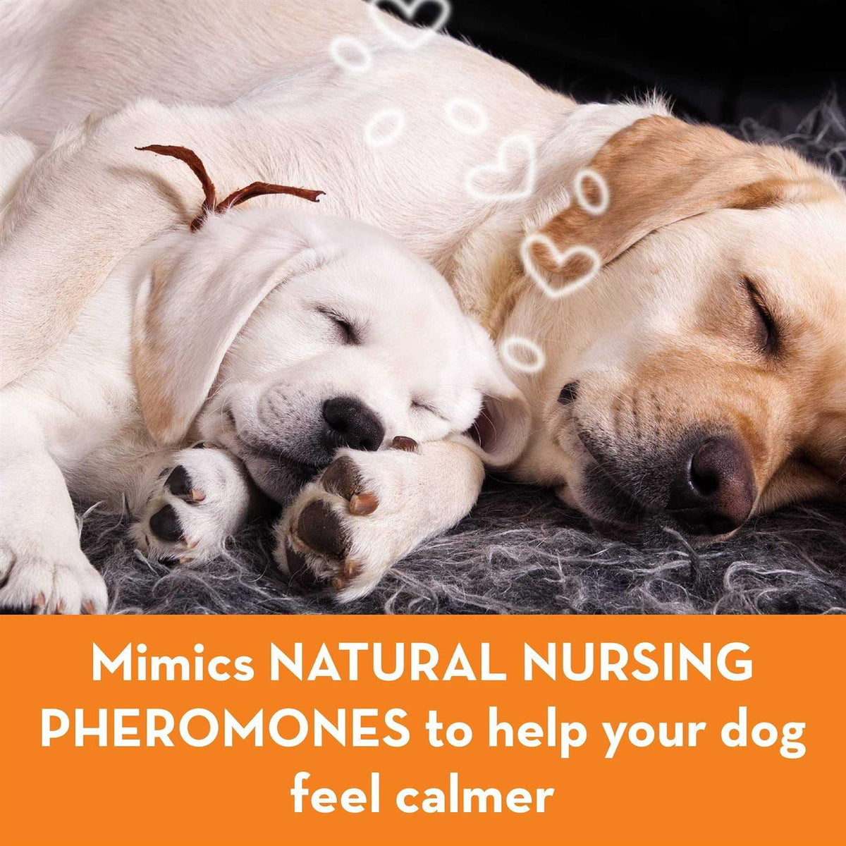 Calming Diffuser Kit Dog L859