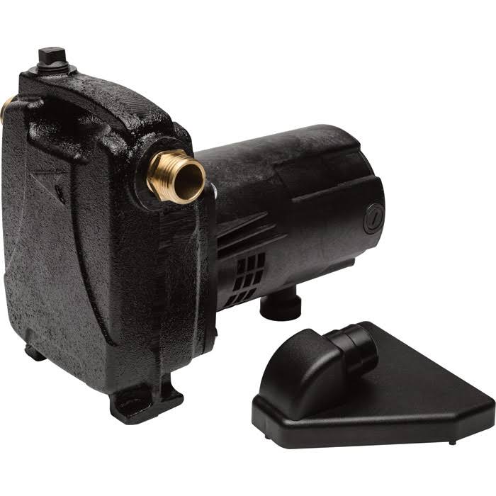 Cast Iron Portable Water Pump L27966