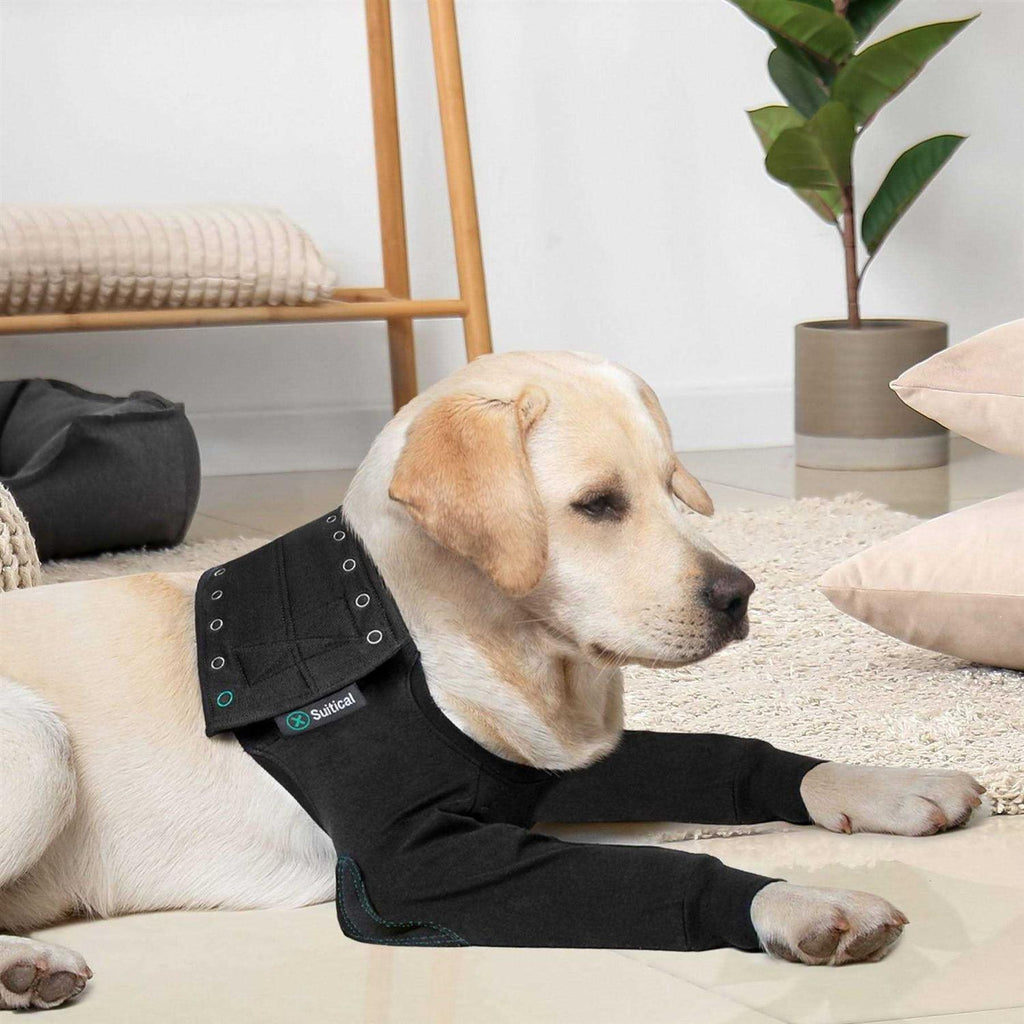 Dog Recovery Double Sleeves E178400