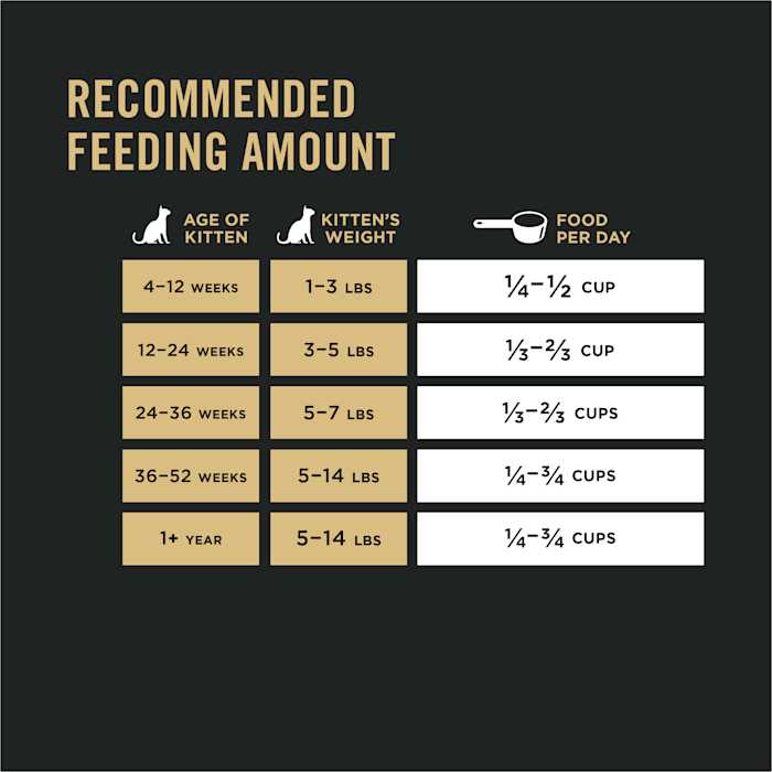 Kitten Dry Food D19178