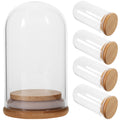 5 Pcs Glass Dome Display Case with Bamboo N73247
