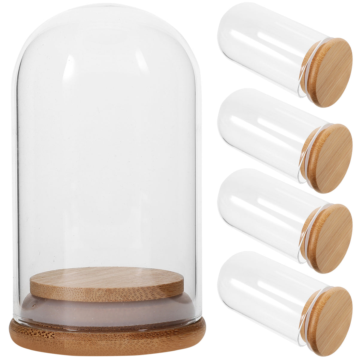 5 Pcs Glass Dome Display Case with Bamboo N73247