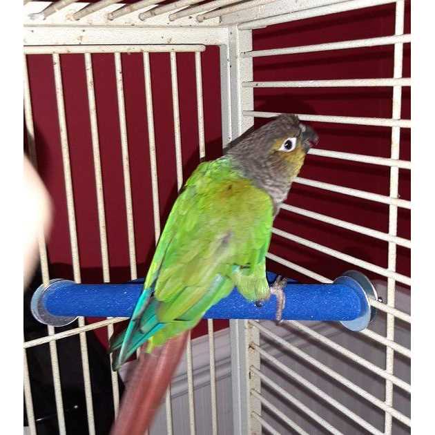 Small Corner Perch S87687