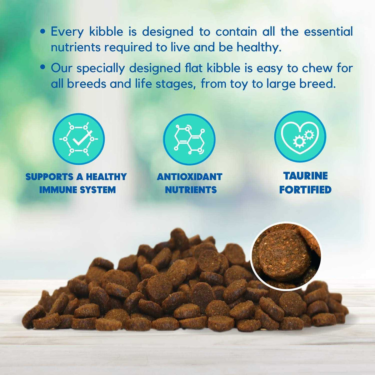 Chicken Brown Rice & Pumpkin Dry Dog Food Y6454