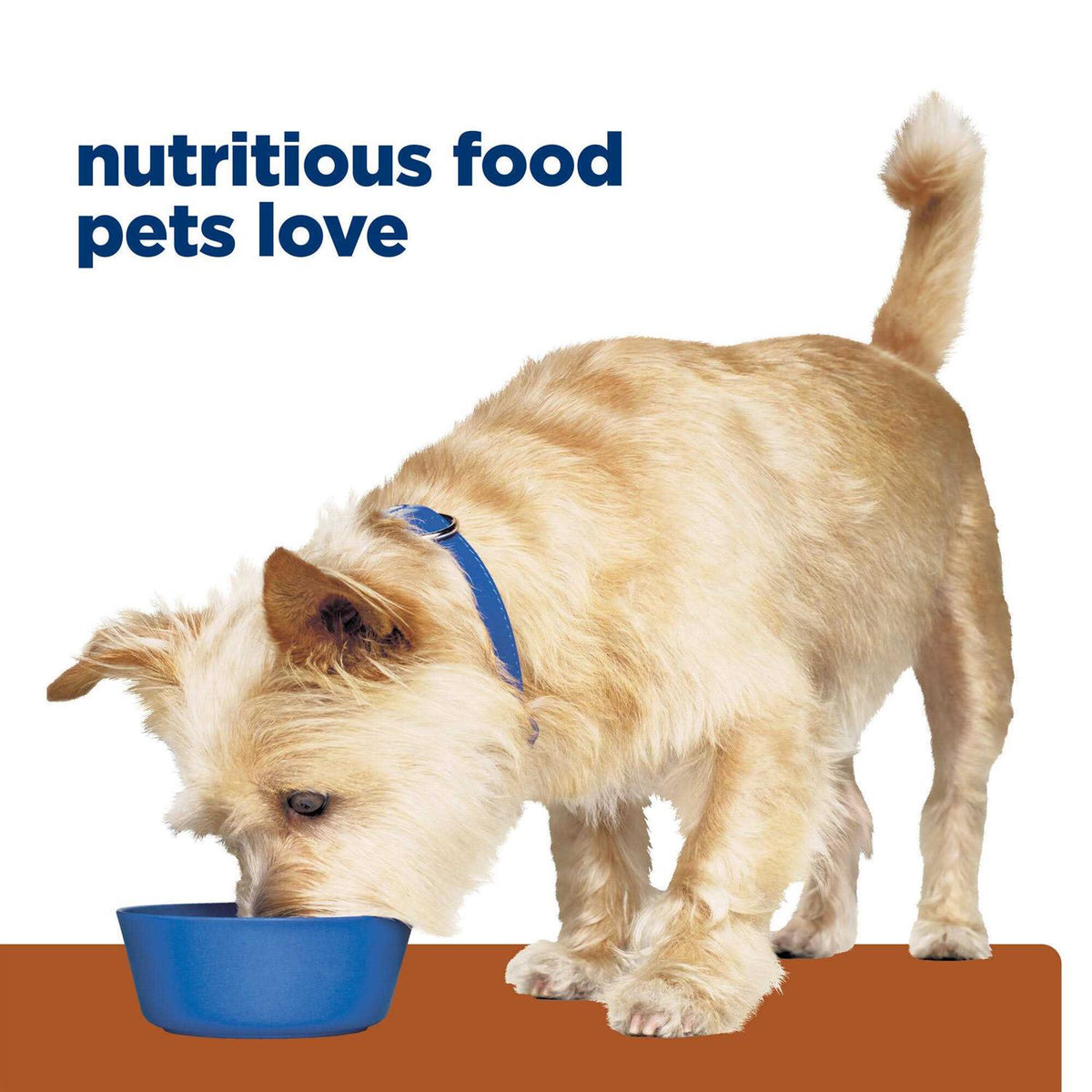 Prescription Diet Kidney Care Dog Food O288807