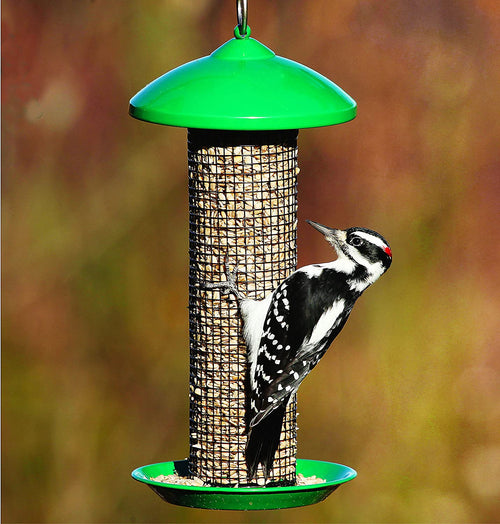 1 qt Plastic Tube Seed Feeder N55902